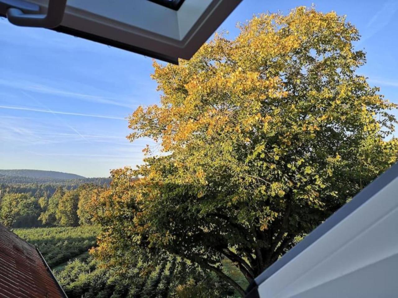 Gruene Oase Im Teutoburger Wald Georgsmarienhütte