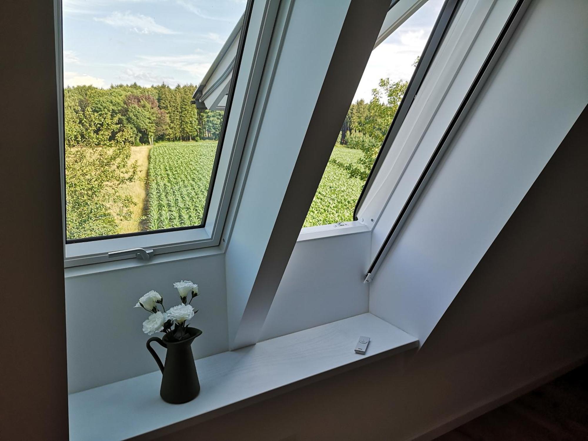 Gruene Oase Im Teutoburger Wald Appartamento *