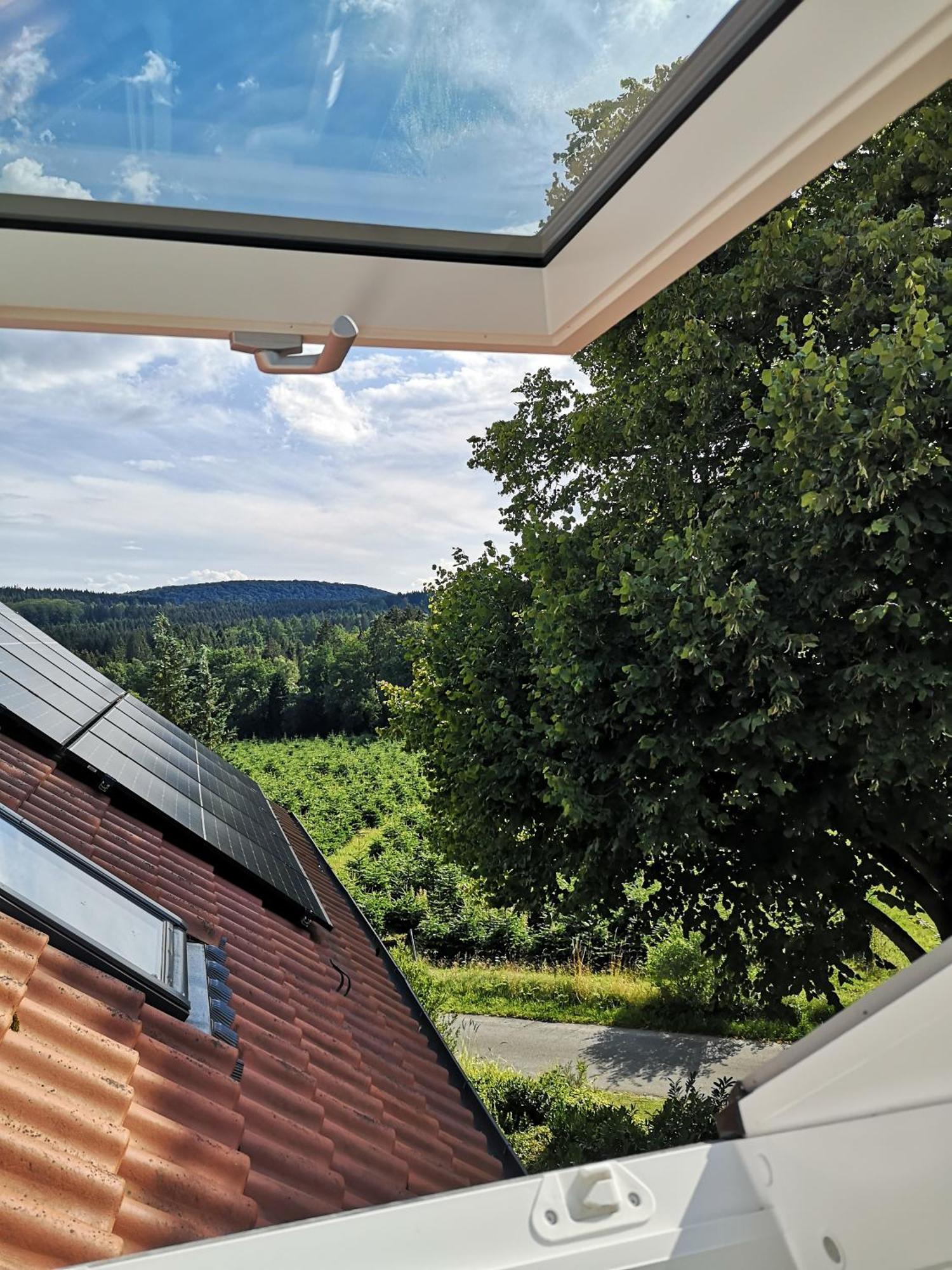Gruene Oase Im Teutoburger Wald *